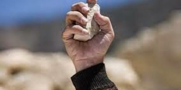 f620x350-111522_142540_8